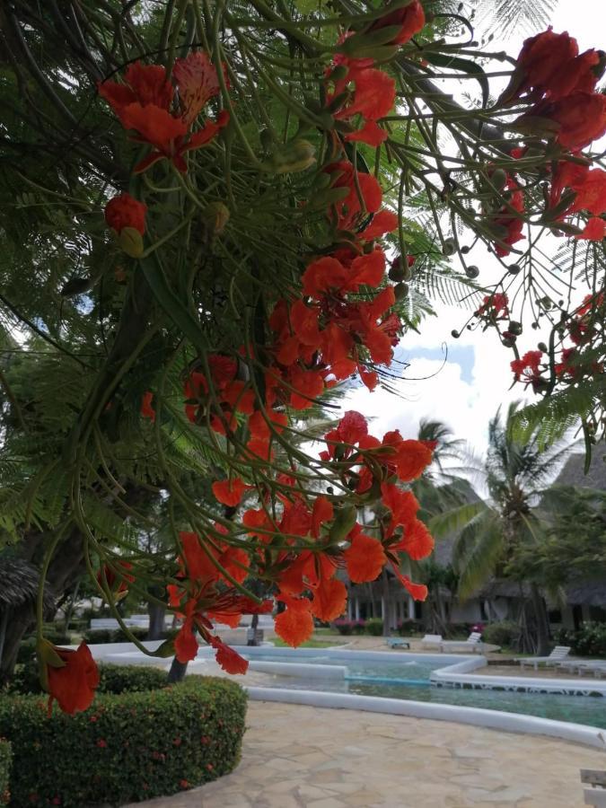 Coral Key Villa Melinde Exterior foto